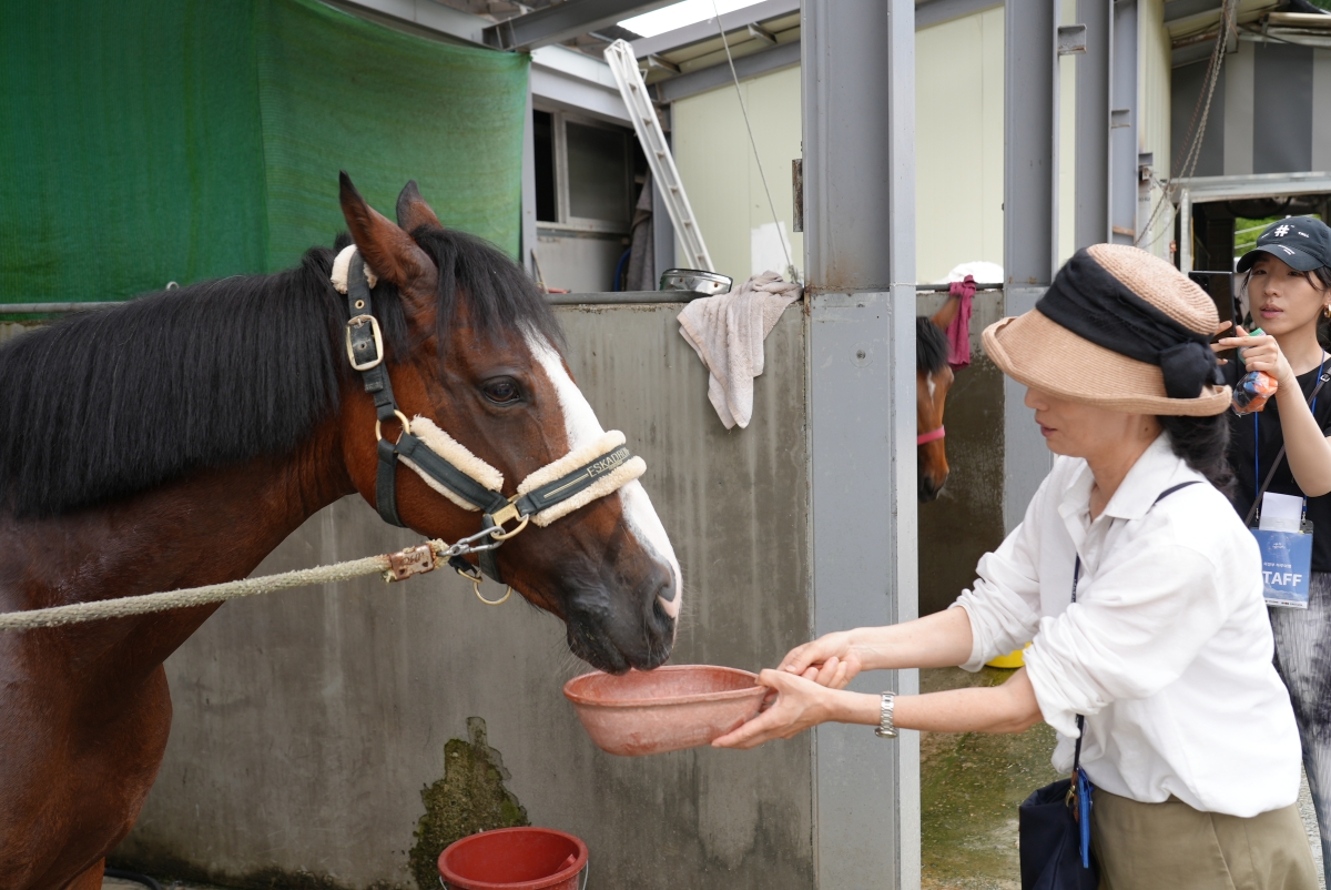 2024 <의정부하루여행>여름- 의정부 냉면 성지순례 1회차  사진